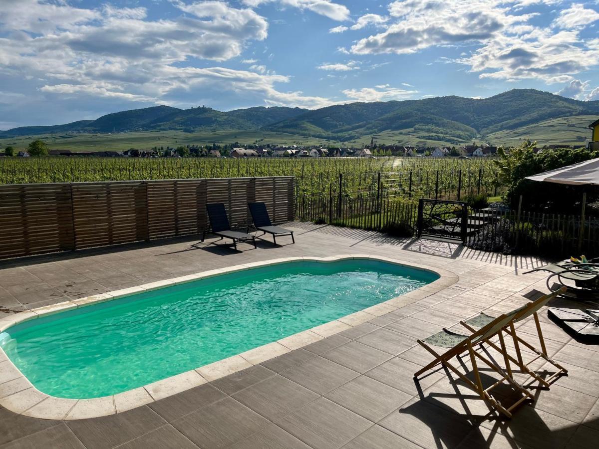 Gite Proche Colmar Vignoble Wettolsheim Zewnętrze zdjęcie